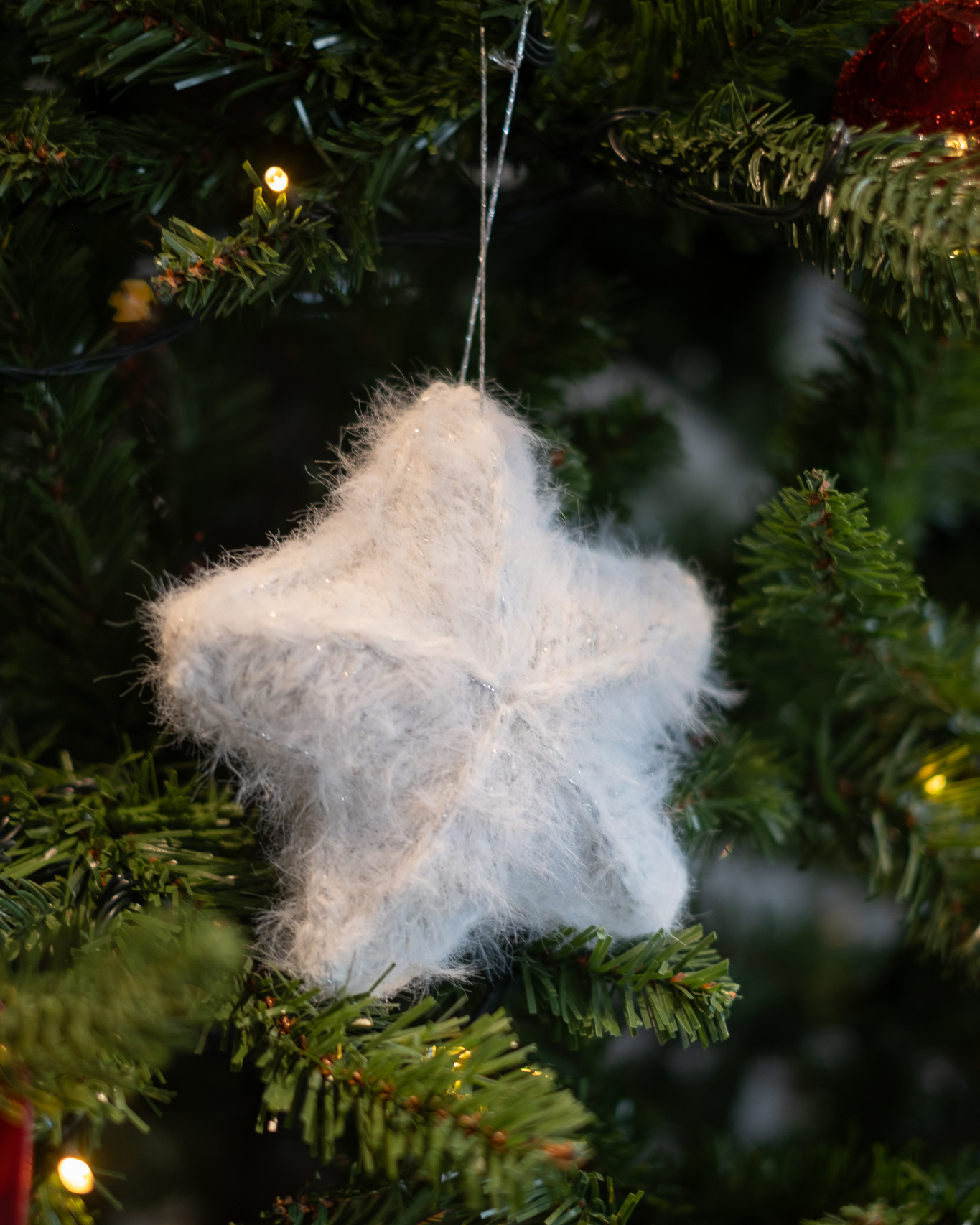 Gøril HoleCapella Julestjerne