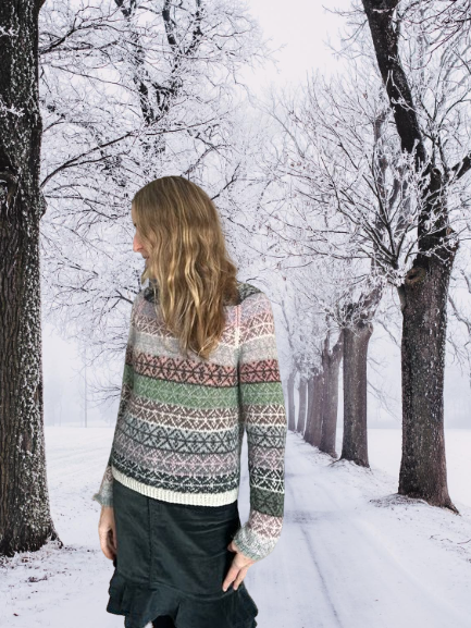 NaggaInvers Sweather flerfarget